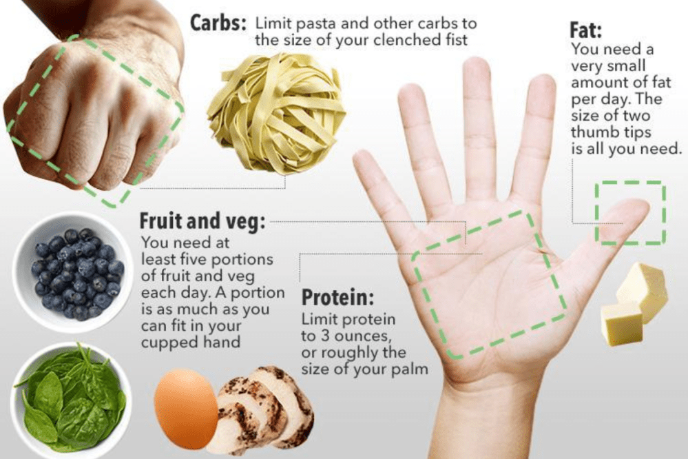 carb protein fat